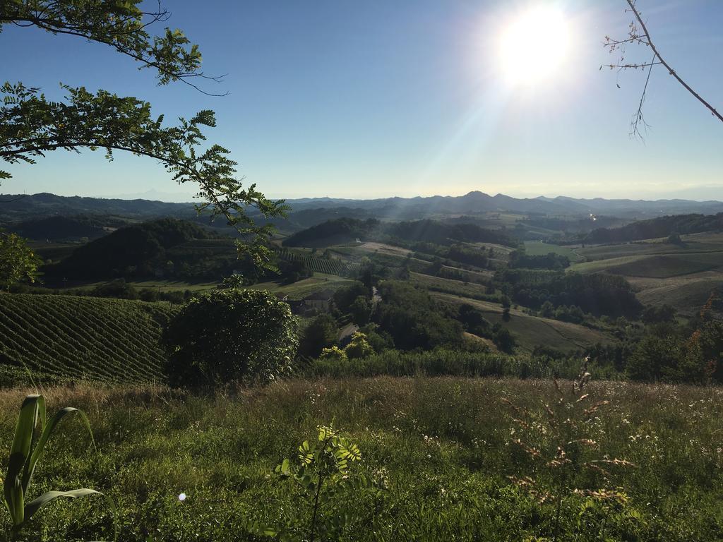 Agriturismo Cascina Nuova Villa Valenza Exteriör bild