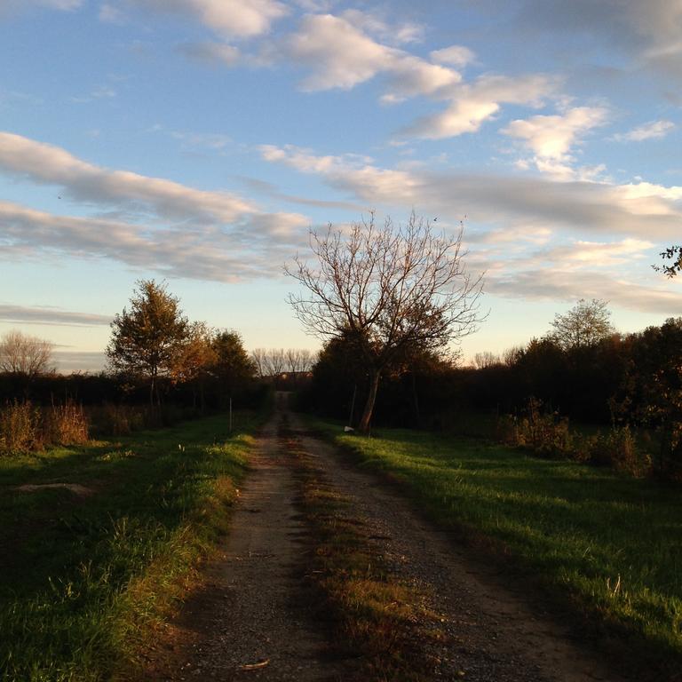 Agriturismo Cascina Nuova Villa Valenza Exteriör bild