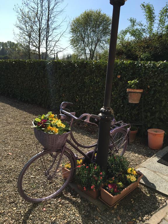 Agriturismo Cascina Nuova Villa Valenza Exteriör bild