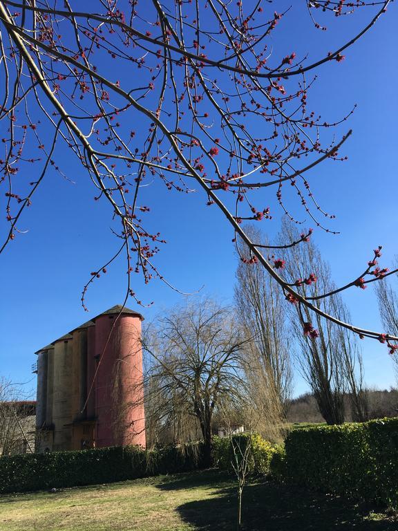 Agriturismo Cascina Nuova Villa Valenza Exteriör bild