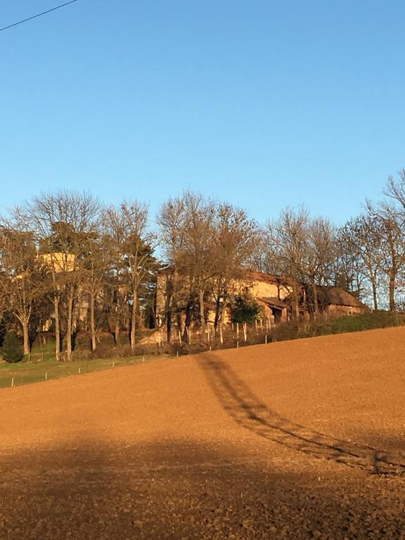 Agriturismo Cascina Nuova Villa Valenza Exteriör bild