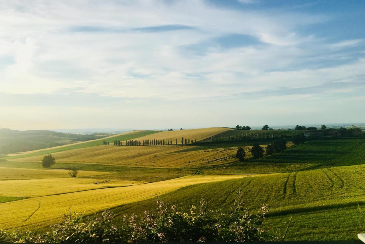 Agriturismo Cascina Nuova Villa Valenza Exteriör bild
